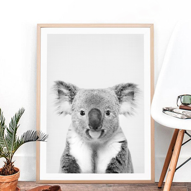 Koala Print Black and White Pi - Photography Zoo 评论和价格