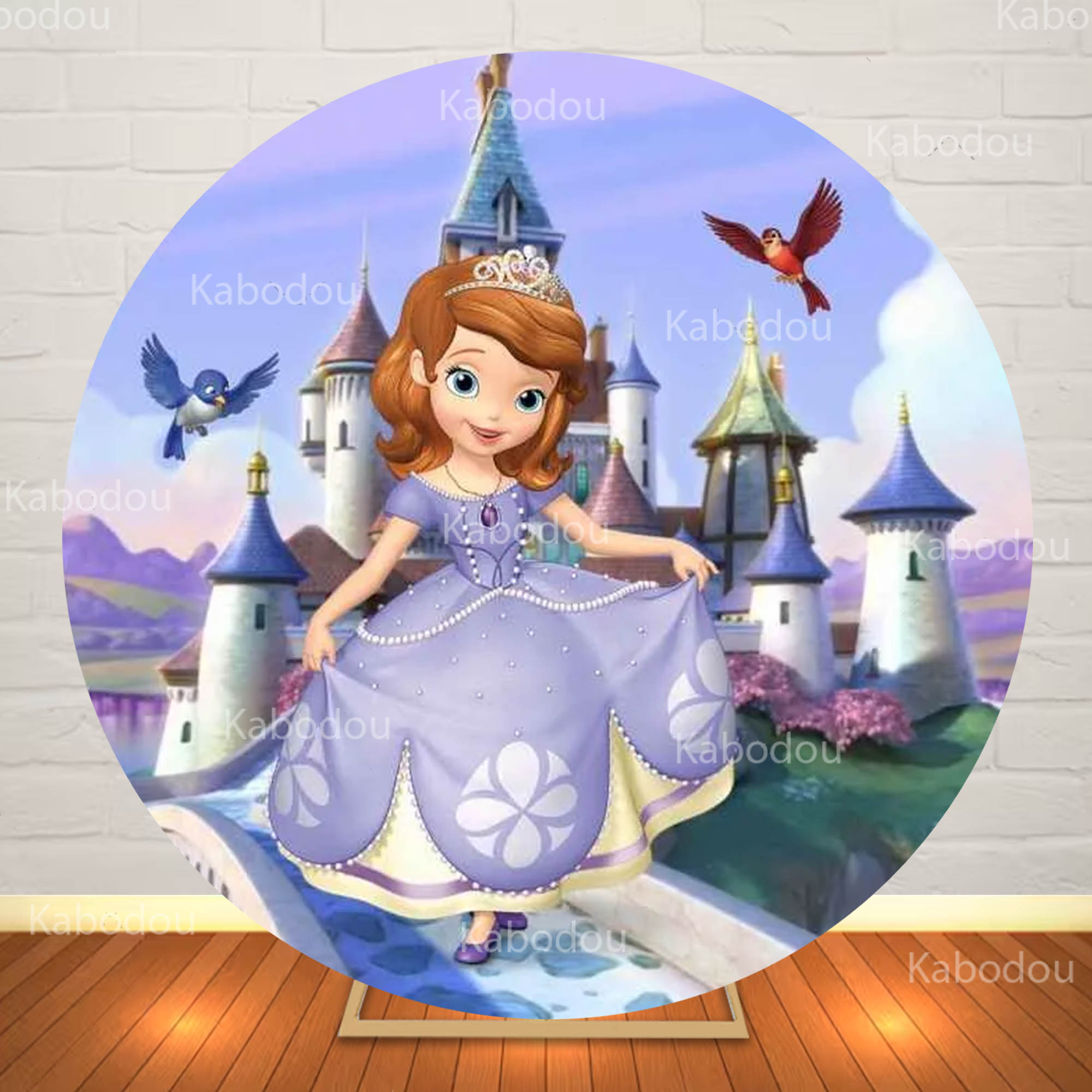Sofia the First Round Backdrop - Photography Class 评论和价格