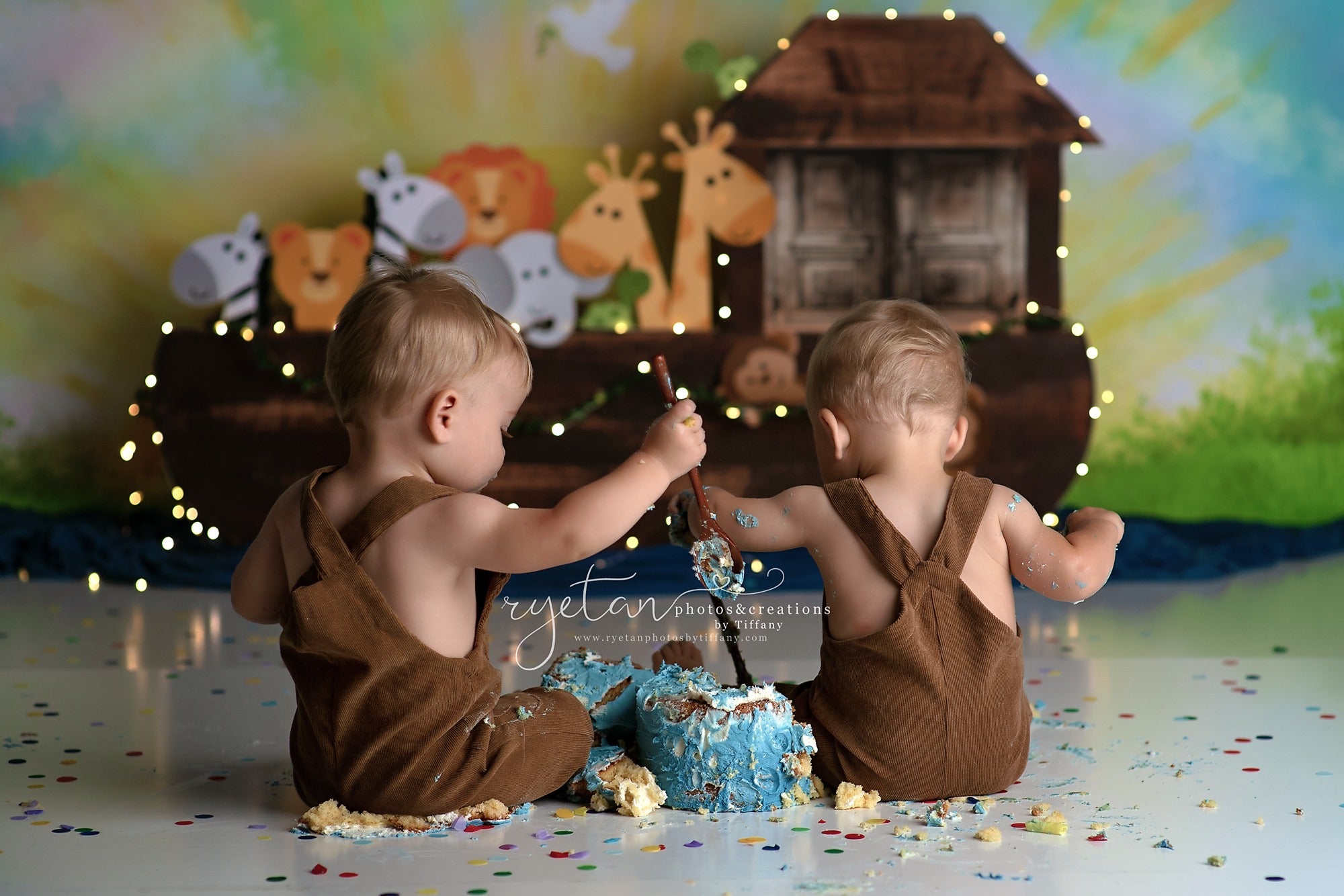 Noahs Ark Animals Zoo Backdrop - Photography Zoo 评论和价格